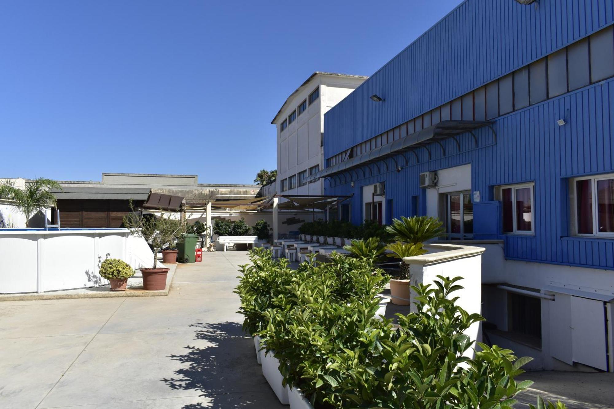 Ostello Salento 奥利吉欧 外观 照片